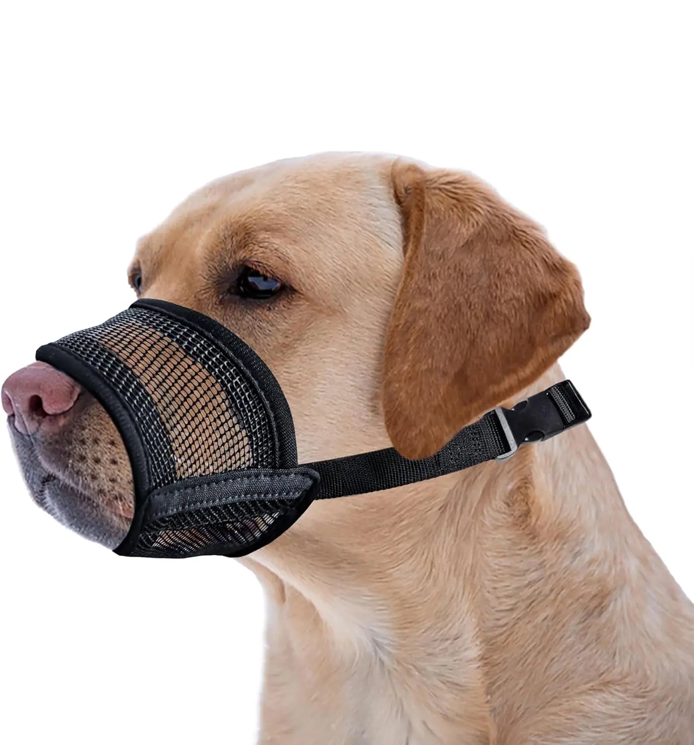 Adjustable Air Mesh Dog Muzzle โ Breathable Anti-Biting, Barking & Scavenging Protection for All Sizes