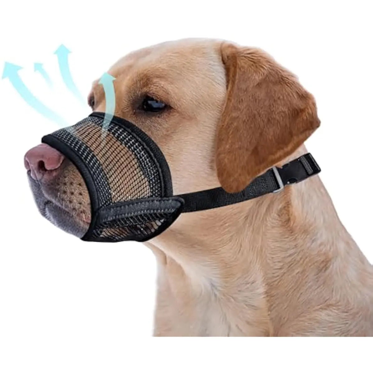 Adjustable Air Mesh Dog Muzzle – Breathable Anti-Biting, Barking & Scavenging Protection for All Sizes