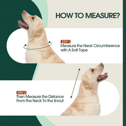 Adjustable Soft E-Collar for Dogs – Breathable & Humane Post-Surgery Recovery Cone to Prevent Licking