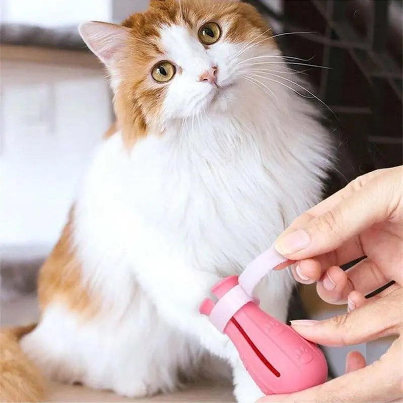 4 Pairs per Box, Silicone Pet Paw Protectors  Essentials for Dogs and Cats — Protects Paws during Baths, Prevents Scratching, Safe and Reliable.