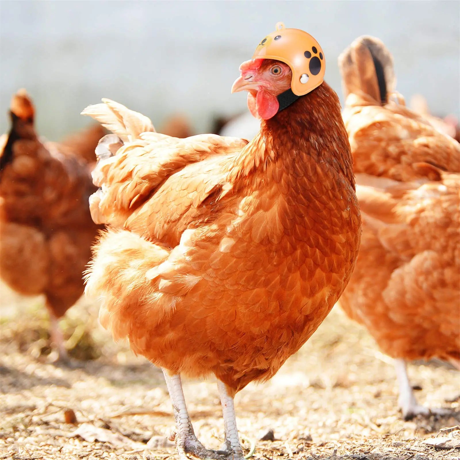 8-Pack Fun Waterproof Chicken Hats – Adjustable Miniature Pet Protection & Costume Gear