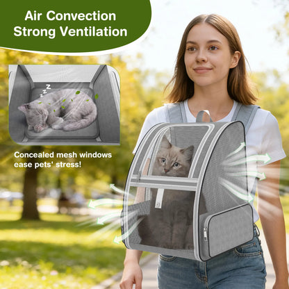 Breathable Mesh Pet Backpack – Foldable Travel Carrier with Built-In Safety Buckles & Dual Storage Pockets